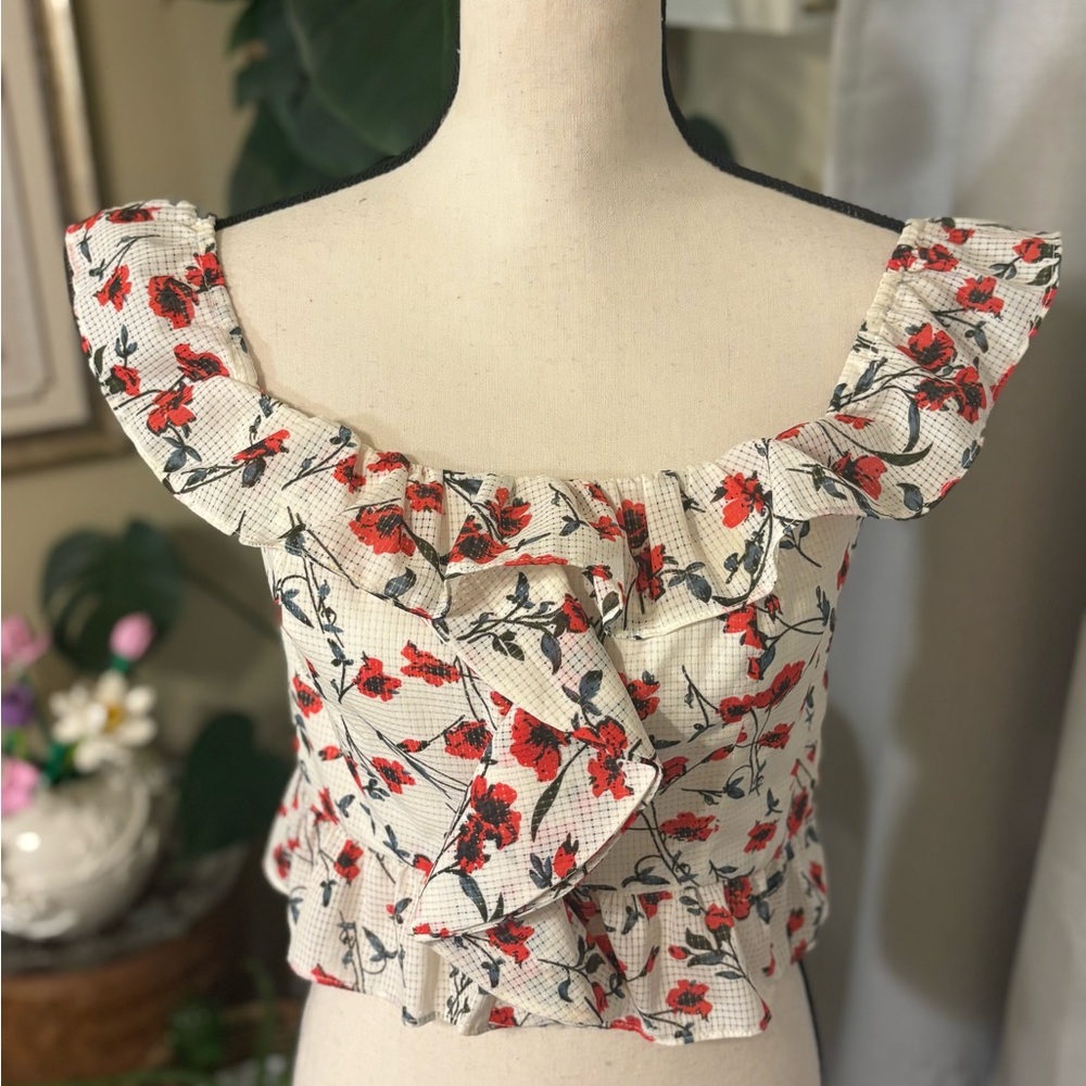 Tularosa Floral Ruffle Blouse in Cream and Red - Picture 4 of 9